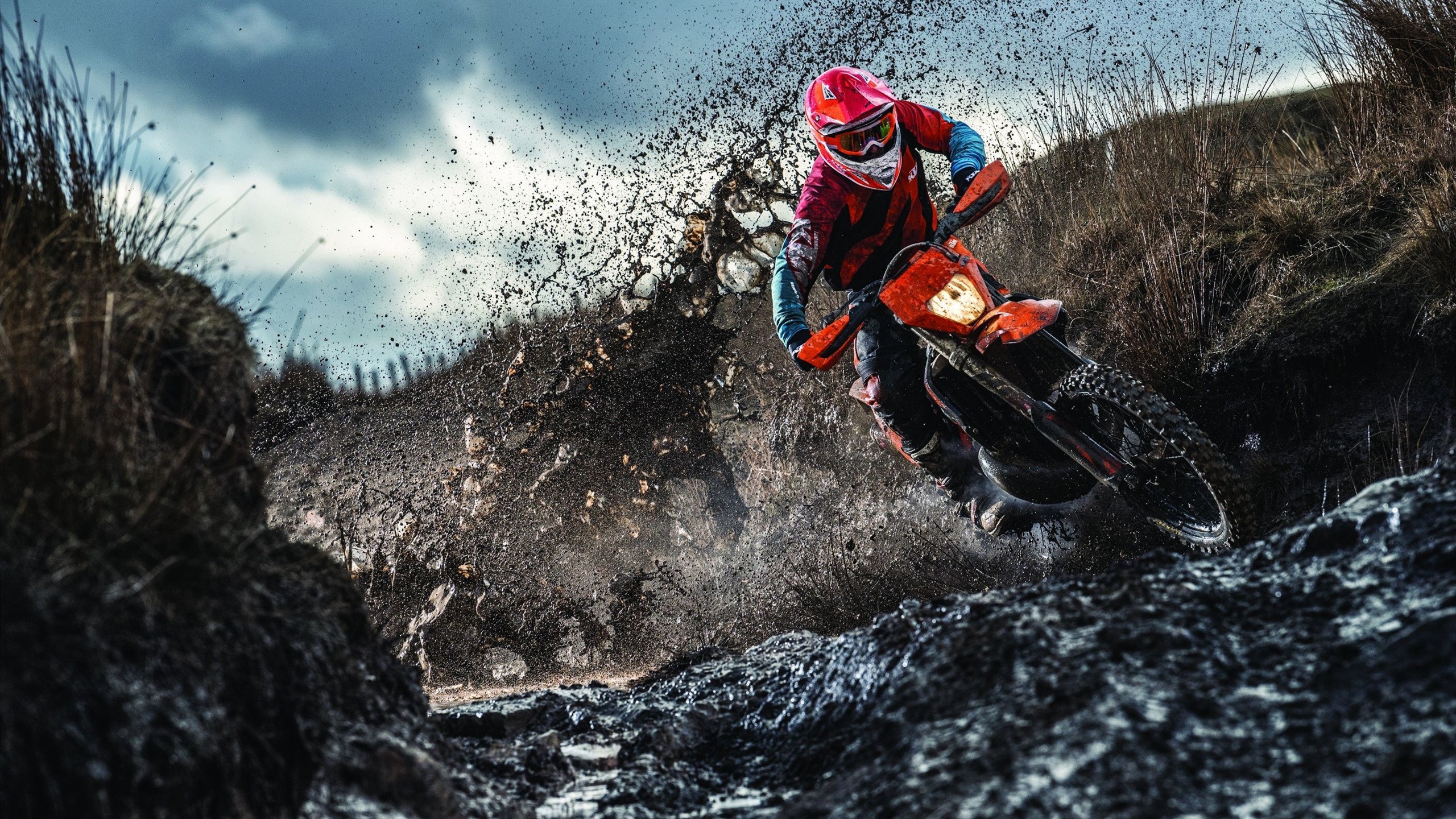 TheShy新星晋级下一阶段表现突出,雄鹿前途光明!引发球迷热议